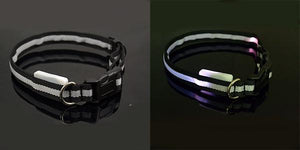 8 Color LED Pet Collar Flashing Light