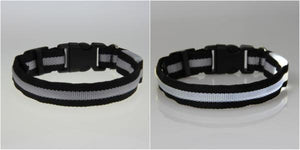 8 Color LED Pet Collar Flashing Light